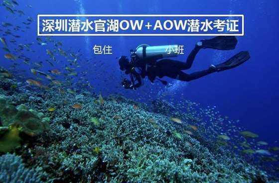 美图秀秀下载2023最新版